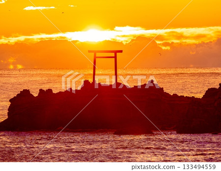 Asahi rising from Torii Asahi rising from Torii 133494559