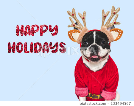 Merry Christmas and Happy New Year. Charming dog 133494567