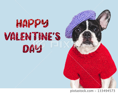 Happy Valentine's Day. Cute puppy and congratulatory inscription 133494573