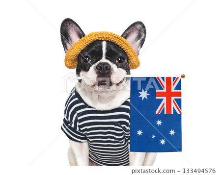 Lovable, charming puppy and Australian Flag 133494576