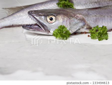 Fresh European hake fish on marble table with parsley, Raw uncooked Merluccius close-up 133494613