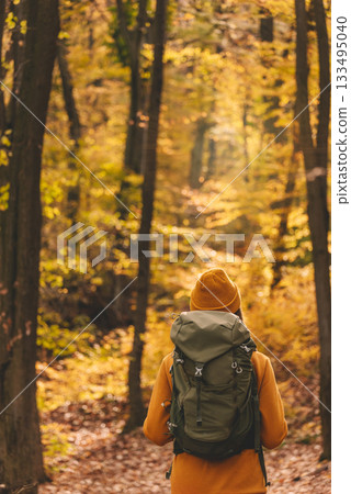Lone Female Hiker in Autumn Forest Setting 133495040