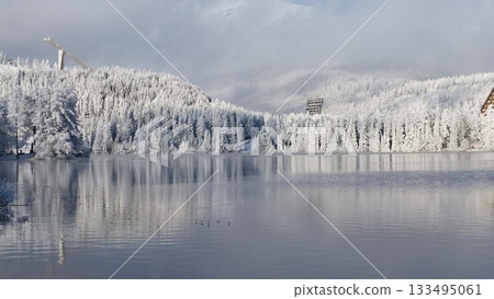 Lake surrounded by snow-covered trees Lake surrounded by snow-covered trees 133495061