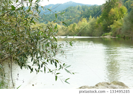 Stunning Mountain River Landscape and Forest View 133495285