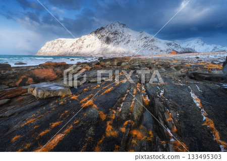 Snowy mountain coast with rocks and seaweed, Lofoten, Norway 133495303