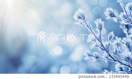 Fresh, frosty, and effective winter health 133495449