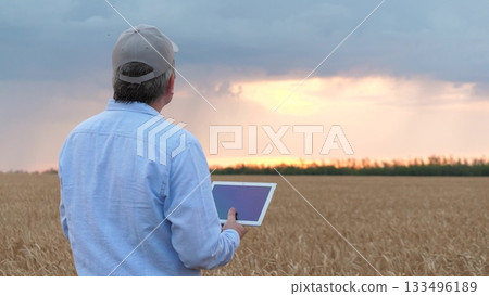 agriculture, wheat field, golden wheat farm field sunset, farmer sunset. concept agriculture. Farmer working digital tablet shut up. Summer wheat grains. ingathering. Farm business. People sunset. 133496189