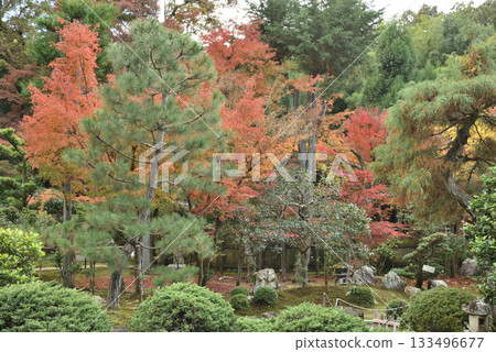 東福寺下院月金華殿秋季庭園、宗祖院（京都市東山區） 133496677
