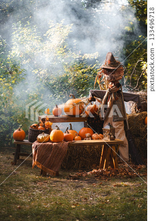 Autumn Harvest Scene with Scarecrow and Pumpkins Autumn Harvest Scene with Scarecrow and Pumpkins 133496718