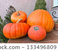 Frozen large and small orange pumpkins on the porch of a house 133496809