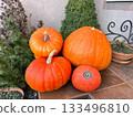Frozen large and small orange pumpkins on the porch of the house 133496810