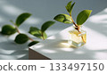 Glass bottle with plant sprig on a light surface in a serene setting 133497150