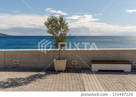 Olive tree and cozy bench on the Mediterranean seaside promenade 133497220