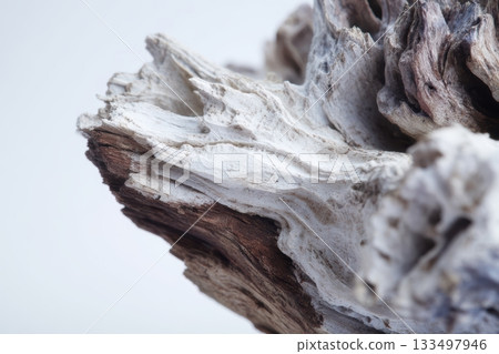 Unique wood texture on driftwood piece found by the shore 133497946