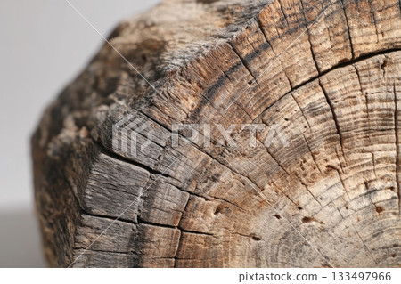 Close-up of a textured wooden log showing growth rings 133497966