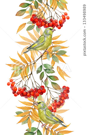 Watercolor seamless border with a green bird perched among rowan branches, red berries, and fall leaves. Autumn nature hand drawn illustration. Realistic drawing for cards, invitations, packaging  133498989