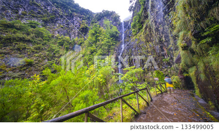 Levada do Risco, Madeira, Portugal 133499005