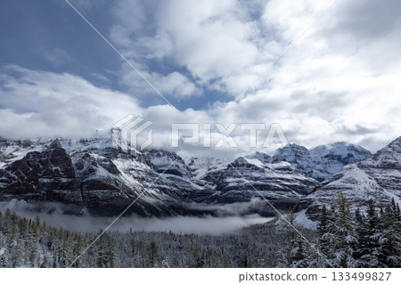 Canadian Rockies | Snowy Forest | Blue Sky 133499827
