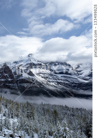 Sea of clouds, snowy Rocky Mountains and forest_Vertical 133499828