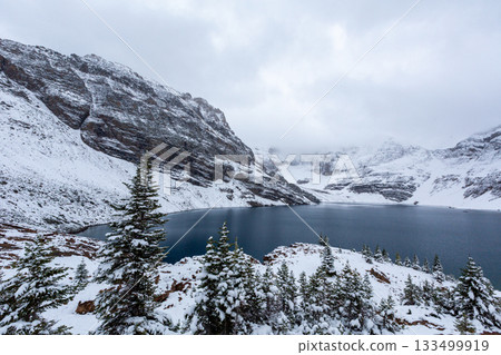 白雪皚皚的針葉樹和蔚藍的湖泊 白雪皚皚的針葉樹和蔚藍的湖泊 133499919