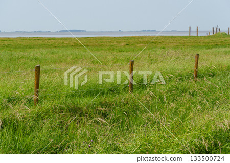 ditzum at the ems river ditzum at the ems river 133500724