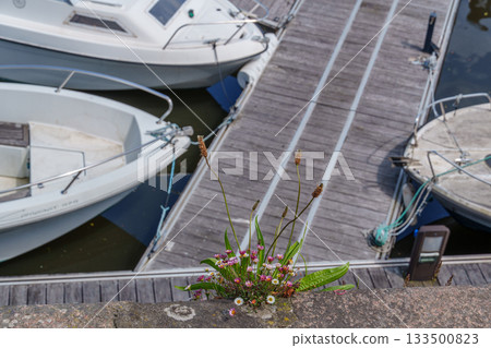 ditzum at the ems river 133500823