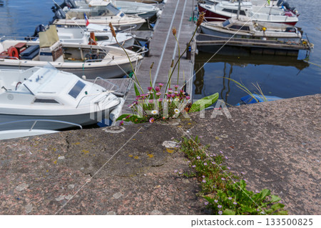 ditzum at the ems river 133500825