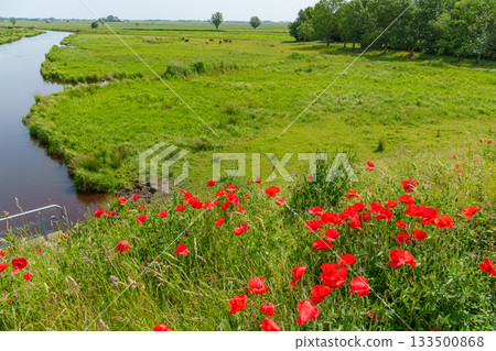 ditzum at the ems river 133500868