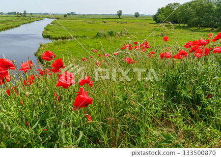 ditzum at the ems river 133500870