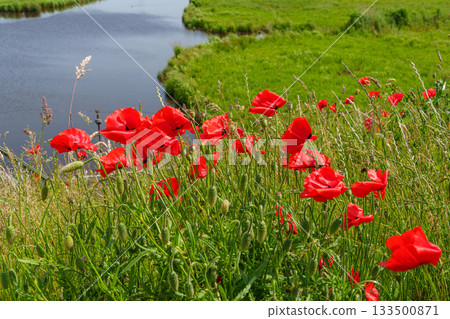 ditzum at the ems river 133500871