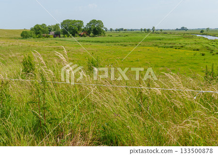 ditzum at the ems river 133500878