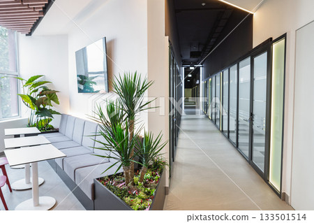 Modern office space with a long corridor, booth, table, chairs and plants Modern office space with a long corridor, booth, table, chairs and plants 133501514