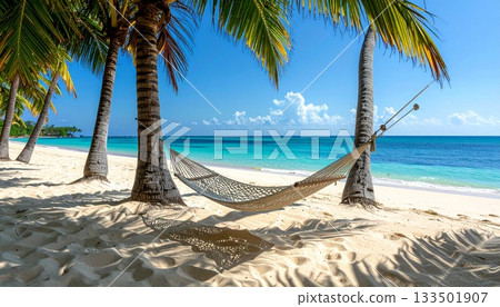 海邊的吊床，棕櫚樹的陰影，湛藍的天空和大海。 133501907