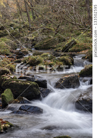 The flow of Takikawa Valley and autumn leaves in late autumn The flow of Takikawa Valley and autumn leaves in late autumn 133502595