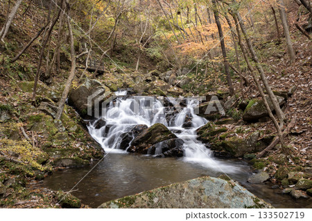 深秋時節,瀧川谷的瀑布和秋葉美景 深秋時節,瀧川谷的瀑布和秋葉美景 133502719