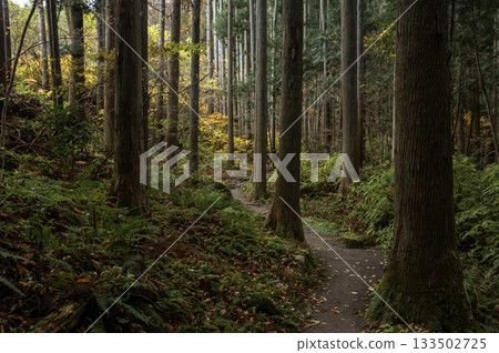 瀧川谷的秋季健行路線 133502725