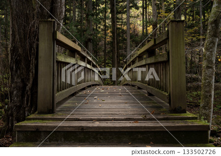 橫跨瀧川峽谷的木橋 133502726