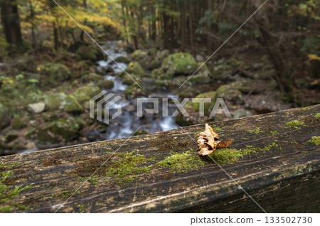 苔蘚覆蓋的橋上落滿了落葉,遠處是山谷的景色。 苔蘚覆蓋的橋上落滿了落葉,遠處是山谷的景色。 133502730