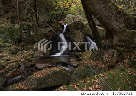 深秋時節,瀧川溪谷的流水與秋葉交相輝映 深秋時節,瀧川溪谷的流水與秋葉交相輝映 133502731