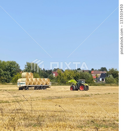 Harvesting: tractor with trailer full of hay Harvesting: tractor with trailer full of hay 133503450