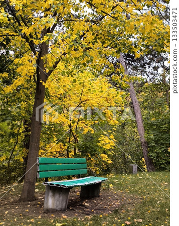 A bright green bench in an autumn park with golden leaves 133503471