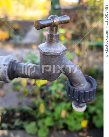 An old brass or bronze garden tap against a backdrop of autumn foliage An old brass or bronze garden tap against a backdrop of autumn foliage 133503482