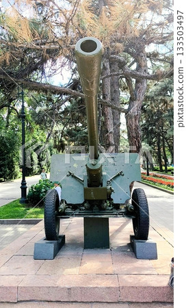 An old artillery piece, a cannon on a carriage in a park as a military monument 133503497