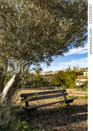 wooden bench  133503567