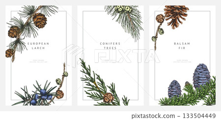 Conifer trees branches with cones hand drawn frame design vector set, Balsam fir, European Larch, Juniper, pine sketch 133504449