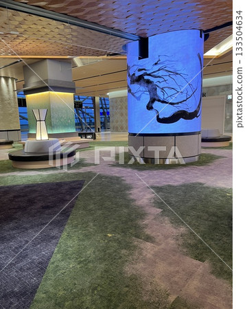 關西國際機場國際出發航廈 133504634