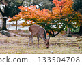 Autumn leaves and deer 133504708
