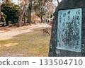 A deer standing in the shrine grounds 133504710