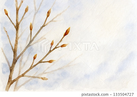 Winter buds and branches background in early spring light 133504727