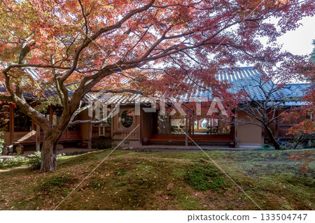 西照寺（茨城縣築西市），以其苔蘚花園和秋葉聞名 133504747